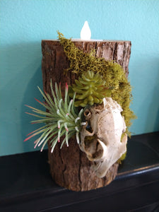 Cedar and Skull Candle Holder