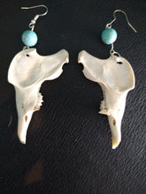 Load image into Gallery viewer, Rabbit Jawbone/Turquoise Earrings
