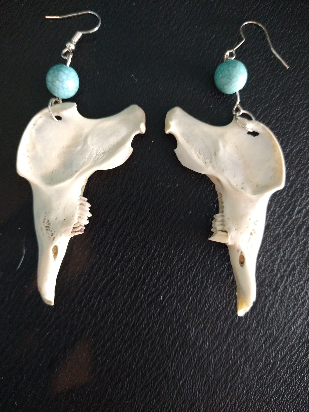 Rabbit Jawbone/Turquoise Earrings